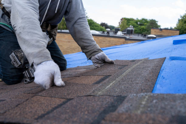 Roof Gutter Cleaning in Ridgefield, NJ